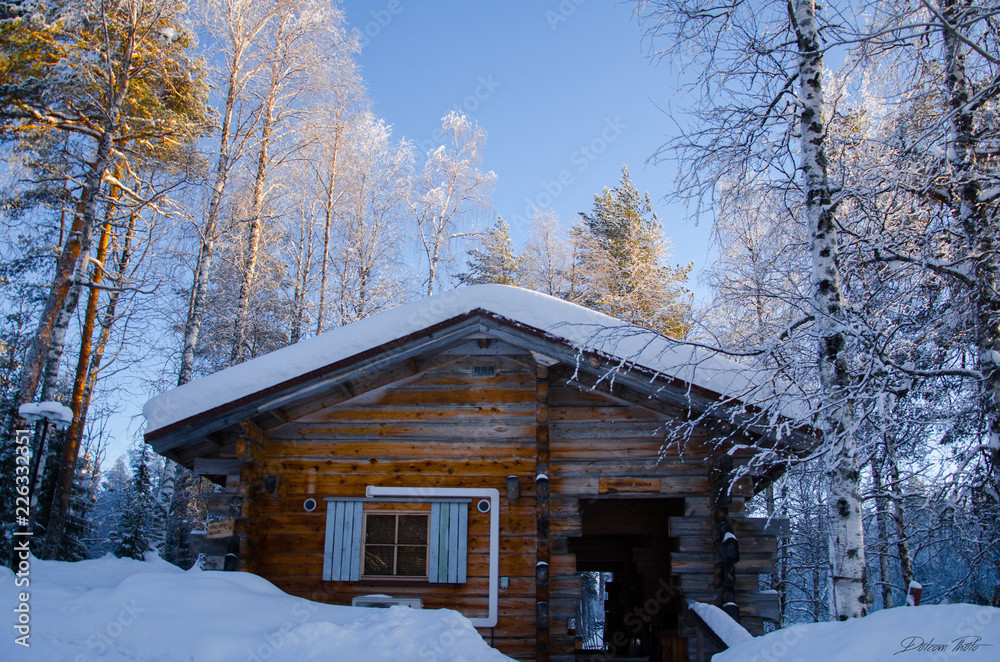 শীতের সময় আমাদের চারপাশের অবস্থা