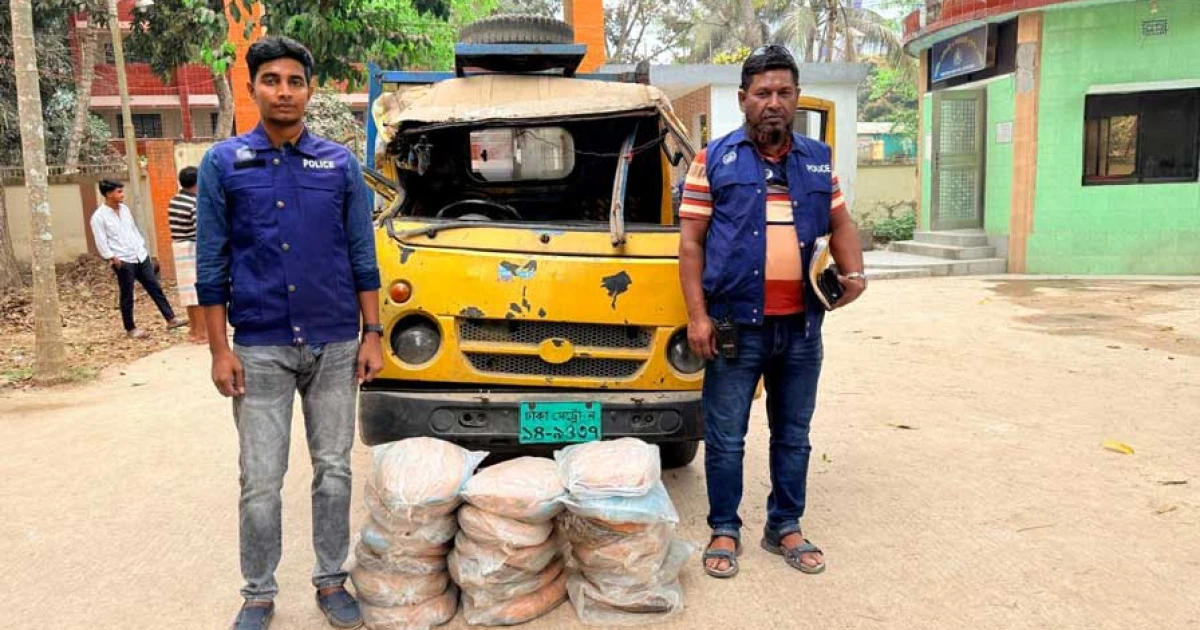 বাঞ্ছারামপুরে ২০ কেজি গাঁজাসহ পিকআপ ভ্যান জব্দ