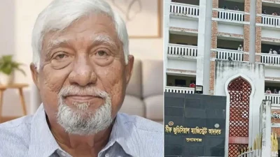 এমপির গলায় দা ধরে সম্পত্তি লিখে নিল কারা?