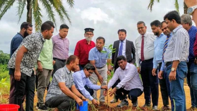 কুবিতে ব্র্যাক ব্যাংকের সহায়তায় ৩৫০০ দুর্লভ প্রজাতির গাছের চারা রোপণ