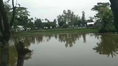 গোডাউনের দরজা ভেঙে ১৯৭ বস্তা সার নিয়ে গেল কৃষকরা