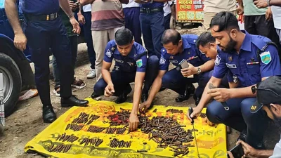 বগুড়ায় ড্রেন খুঁড়তেই শতশত গুলি, কোথা থেকে এলো?