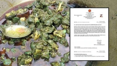 রান্নার সময় মাংসের রং সবুজ হওয়ার কারণ জানা গেল