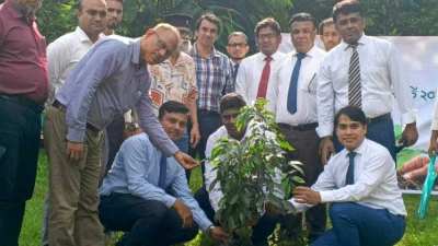 কুবিতে লংকাবাংলা ফাউন্ডেশনের উদ্দ্যোগে ফলজ ও ঔষধি চারা রোপণ