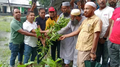 কলাপাড়ায় বিএনপির প্রতিষ্ঠাবার্ষিকী উপলক্ষে গাছের চারা রোপণ