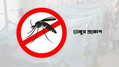 ডেঙ্গু আক্রান্ত হয়ে আরও ৪ জনের মৃত্যু