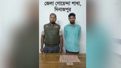 দিনাজপুরে ৩৩০ পিস ট্যাপেন্টাডল উদ্ধার, গ্রেপ্তার ১