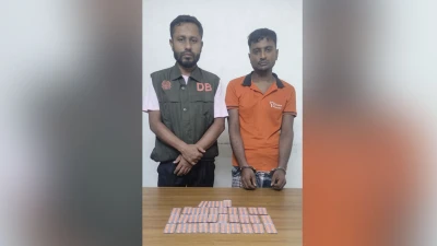 কাহারোলে ডিবির অভিযানে ৩৪০ পিস ট্যাপেন্টাডল উদ্ধার, গ্রেপ্তার ১