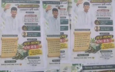 চেয়ারম্যান হলে গাঁজা-ইয়াবা ফ্রি দেবো, যুবদল নেতার নামে পোস্টারিং