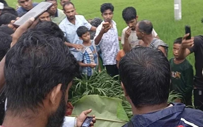 শ্বশুর বাড়ি যাওয়ার পথে সড়কে ঝড়ল নব দম্পতির প্রাণ