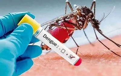 ডেঙ্গুতে মৃত্যু ২০০ ছাড়াল, ২৪ ঘণ্টায় হাসপাতালে ১৮৬৮