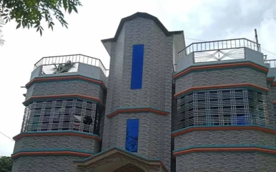 রাজকীয় জীবনযাপন, নেই আয়ের উৎস