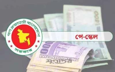 বেতন নির্ধারণে অনলাইনে তথ্য দিতে হবে সরকারি চাকরিজীবীদের
