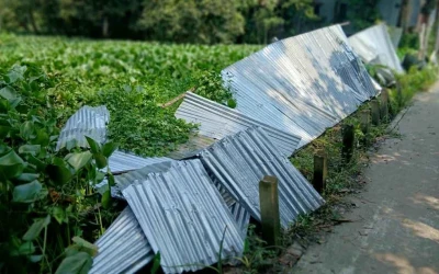 শ্রীনগরে আদালতের নির্দেশ অমান্য করে জমি দখলের চেষ্টা, হেলমেট বাহিনীর হামলায় আহত ২