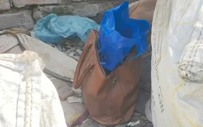 ভ্যানিটি ব্যাগে ককটেল সদৃশ বস্তু, ঘটনাস্থলে এসআরবি