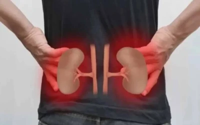কিডনি ভালো আছে কিনা বুঝবেন কীভাবে