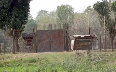 লালমনিরহাট সীমান্তে ১২ জনকে পুশইনের চেষ্টা