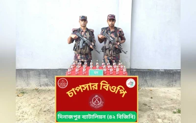 ঠাকুরগাঁও সীমান্তে বিজিবির অভিযান, ভারতীয় মদ ও নিষিদ্ধ সিরাপ উদ্ধার