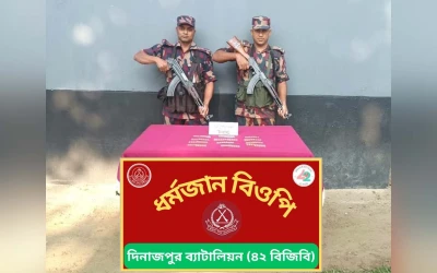 বিরল সীমান্তে বিজিবির অভিযানে ২৪৮ পিস ট্যাপেন্টাডল ট্যাবলেট উদ্ধার