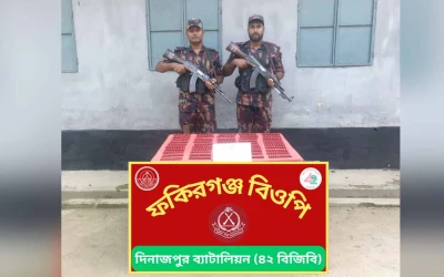 পীরগঞ্জে বিজিবির অভিযানে ২ লাখ টাকার ভারতীয় নেশাজাতীয় ট্যাবলেট উদ্ধার
