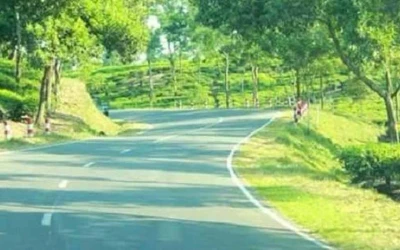 পর্যটক আকর্ষণে চা বাগানের ভেতর দিয়ে হবে সড়ক