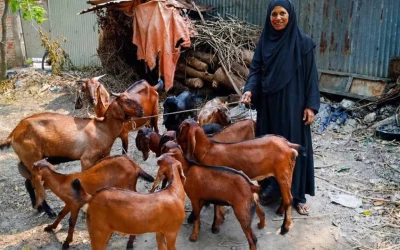 অভাবের কালো ছায়া মাড়িয়ে নিঃসঙ্গ হাওয়া আত্মমর্যাদার পথে